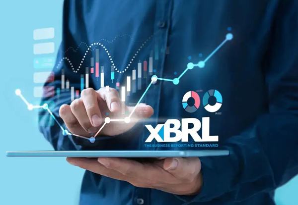 xbrl