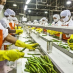 From Kitchen to Brand: How PMFME is Powering India’s Food Entrepreneurs